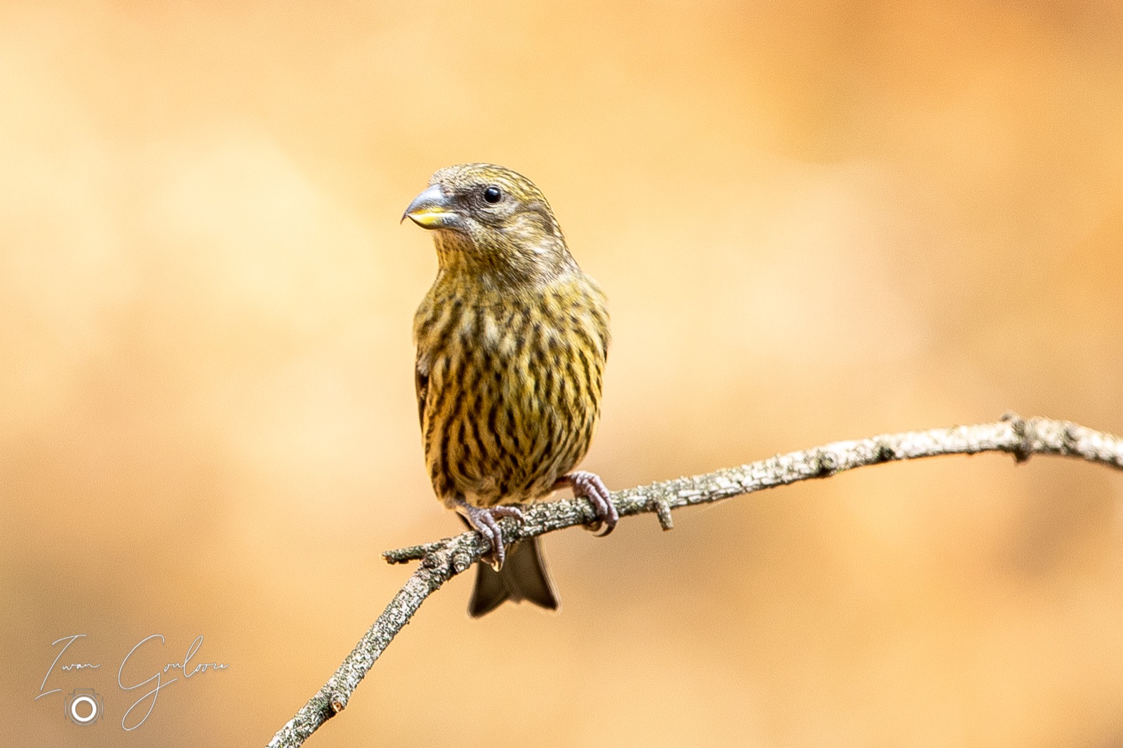 27 april 2022 150935  5D48002